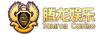 腾龙国际公司logo